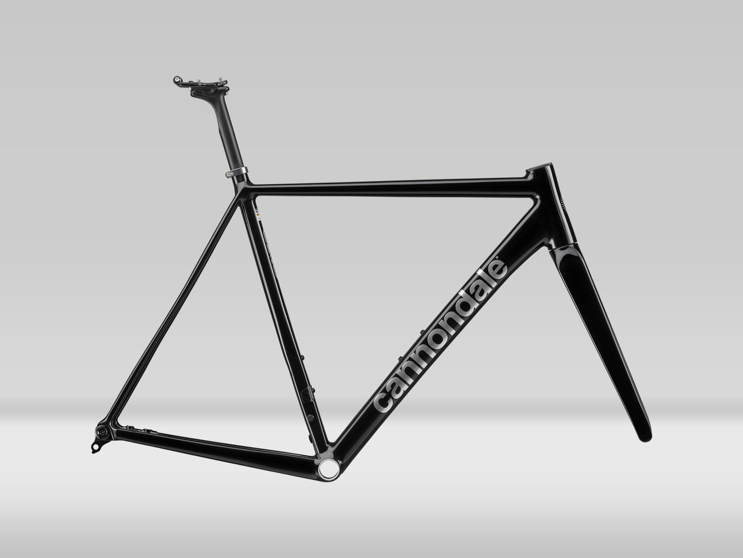Cannondale CAAD14 Ramkit