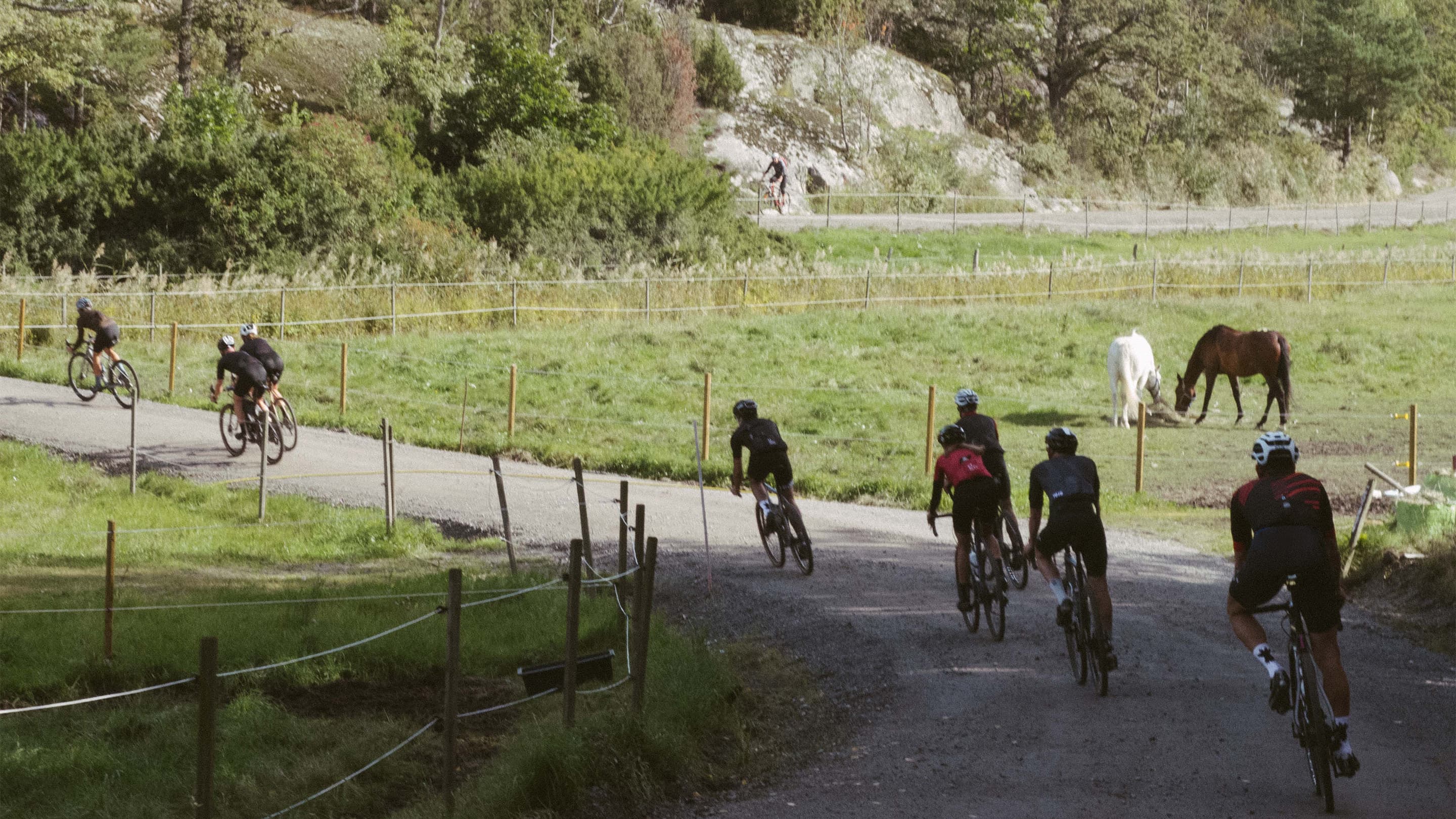 Rule 58 Strava Club