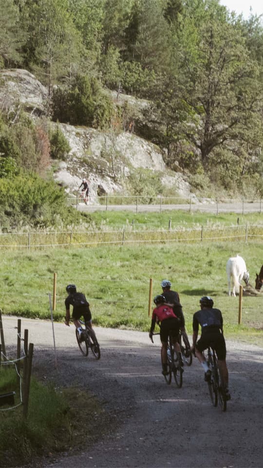 Rule 58 Strava Club