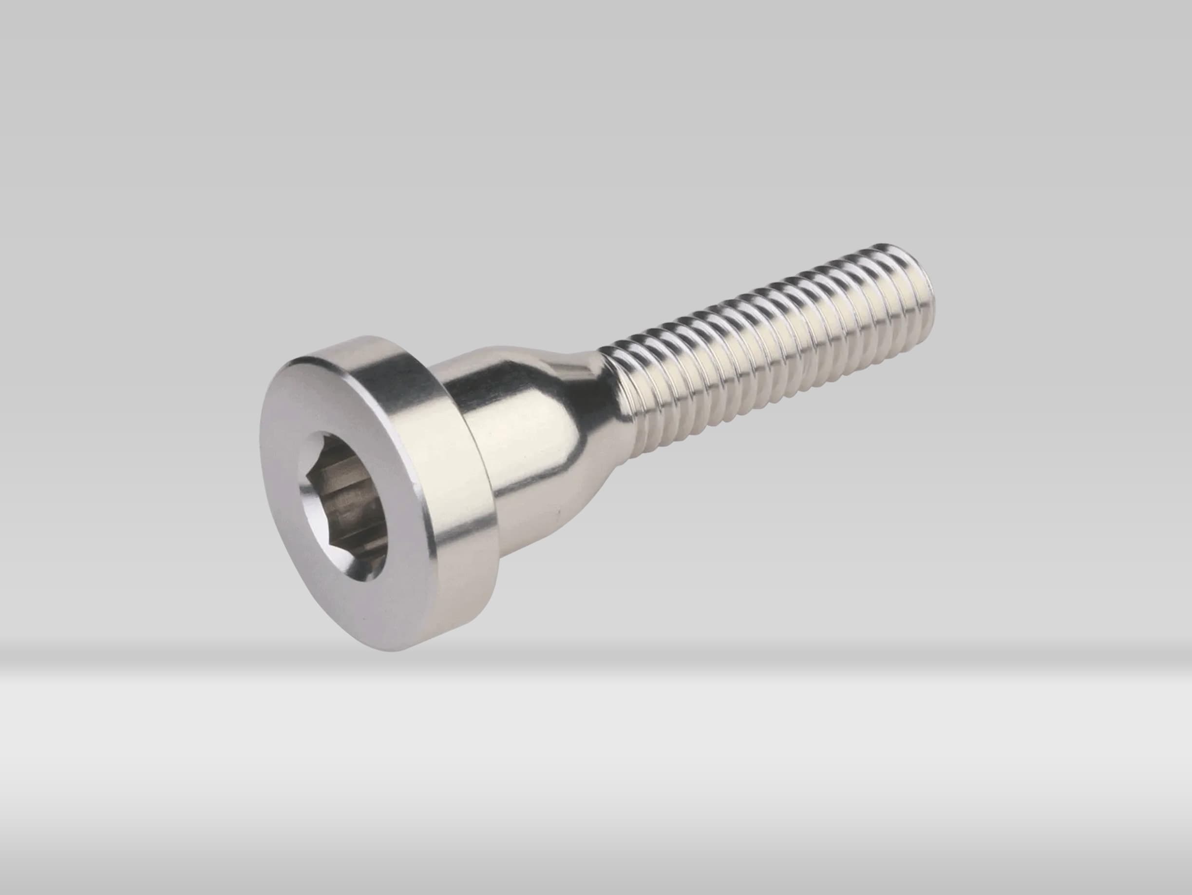 Burgtec Top Cap Bolt Rhodium Silver