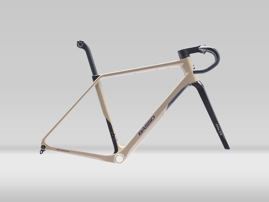 Basso Palta III Framekit
