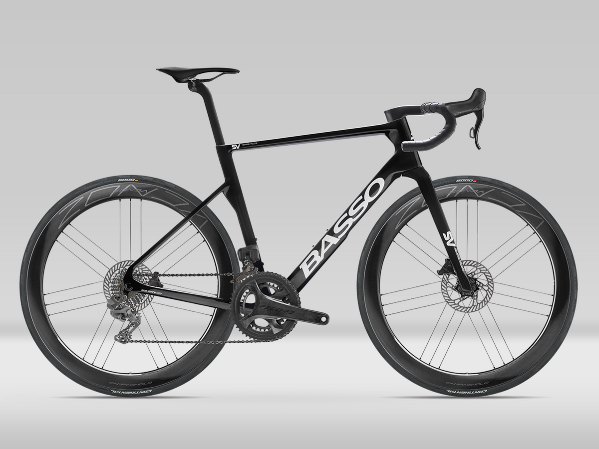 Basso SV