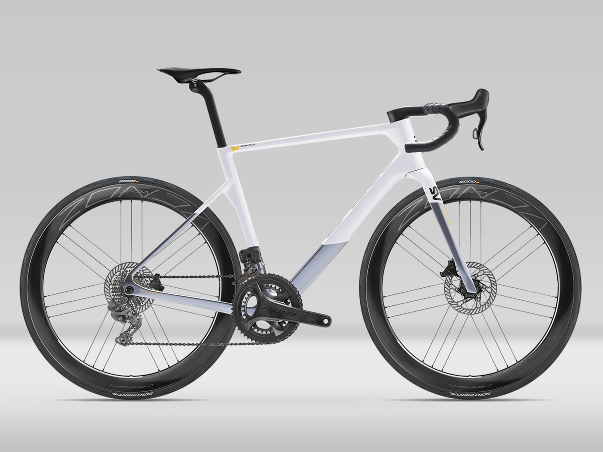 Basso SV
