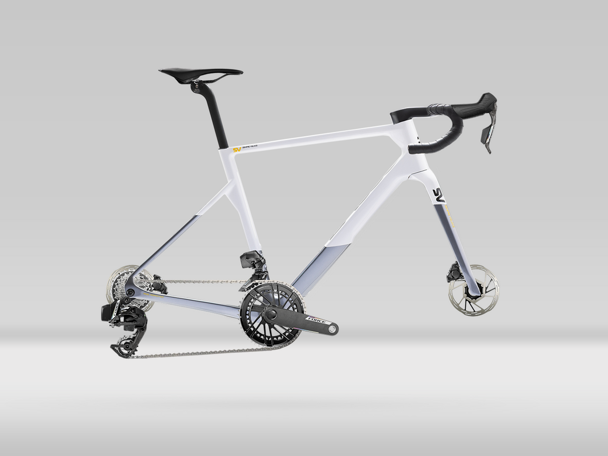 Basso SV