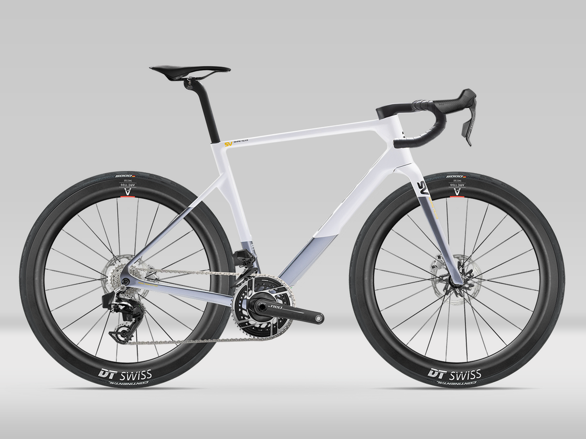 Basso SV