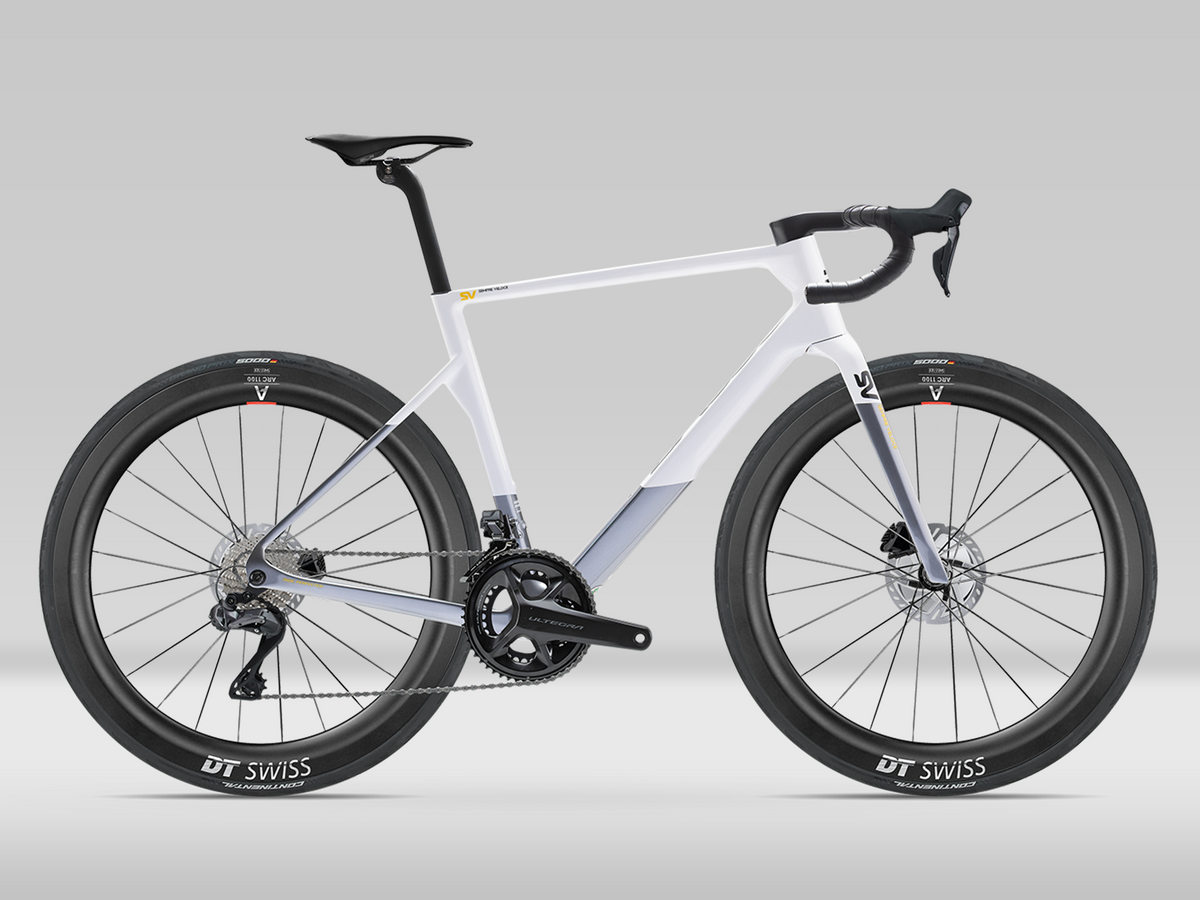 Basso SV