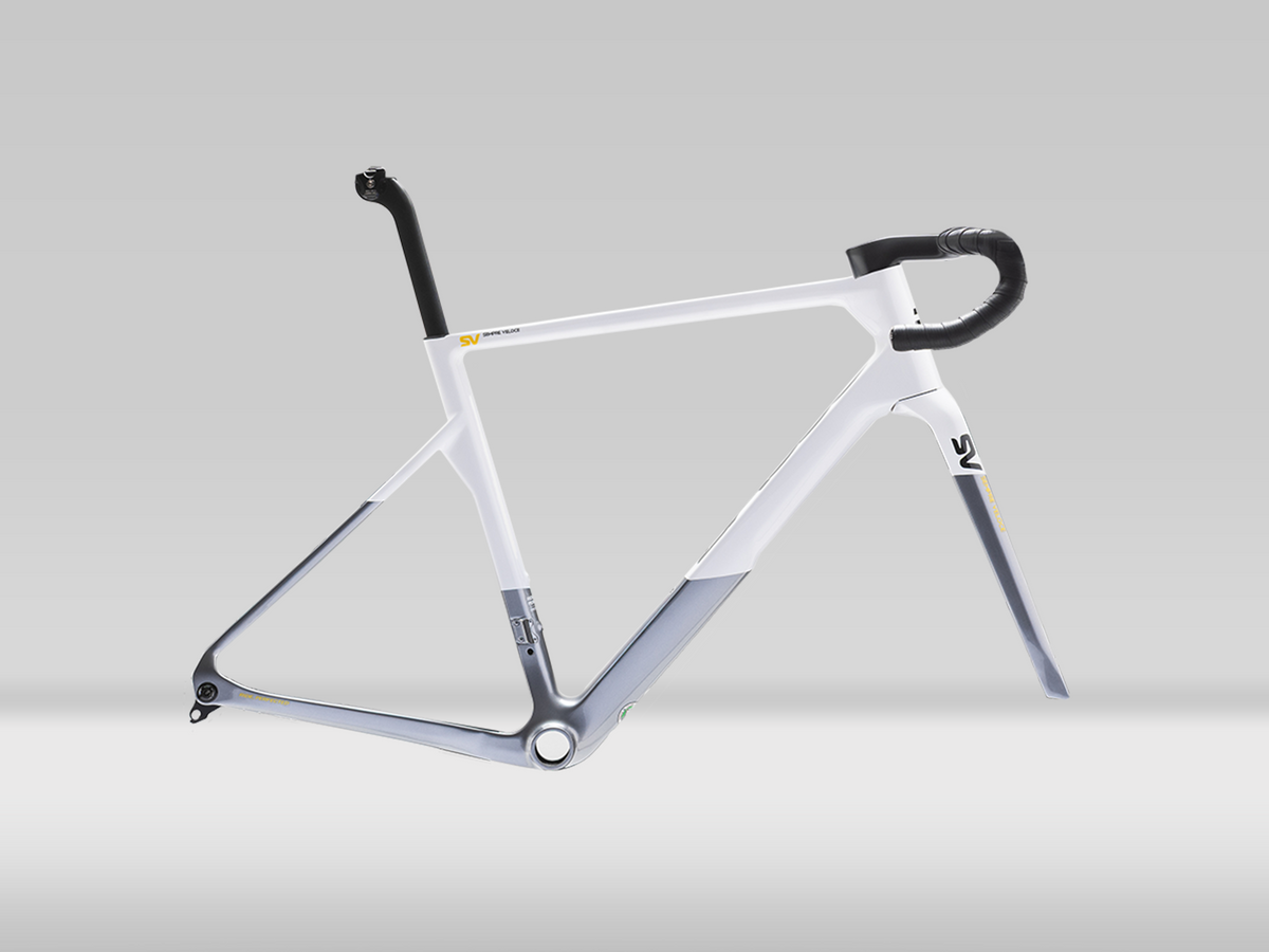 Basso SV Framekit