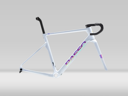 Basso SV Framekit