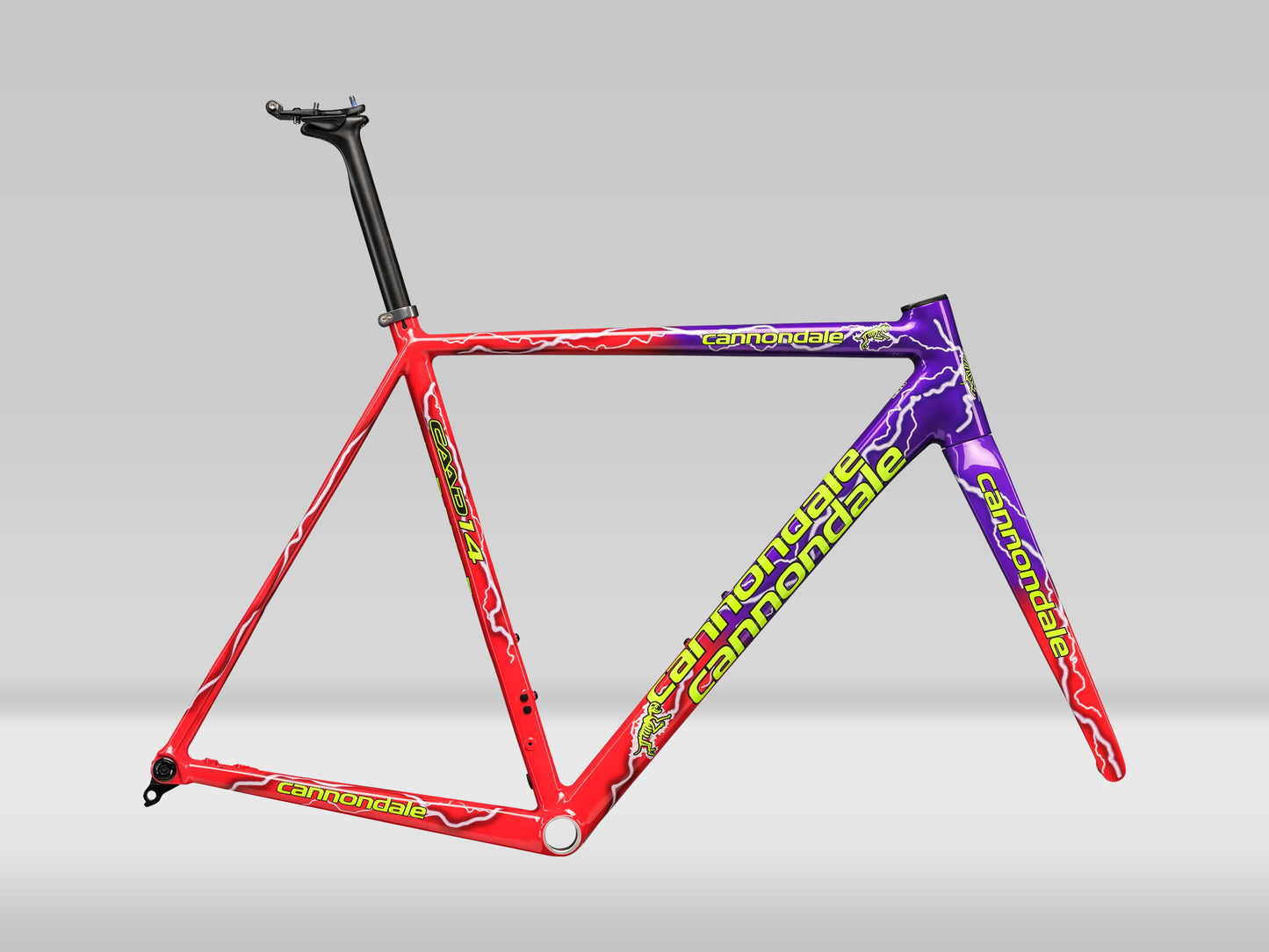 Cannondale CAAD14 "Team Dream" Ramkit