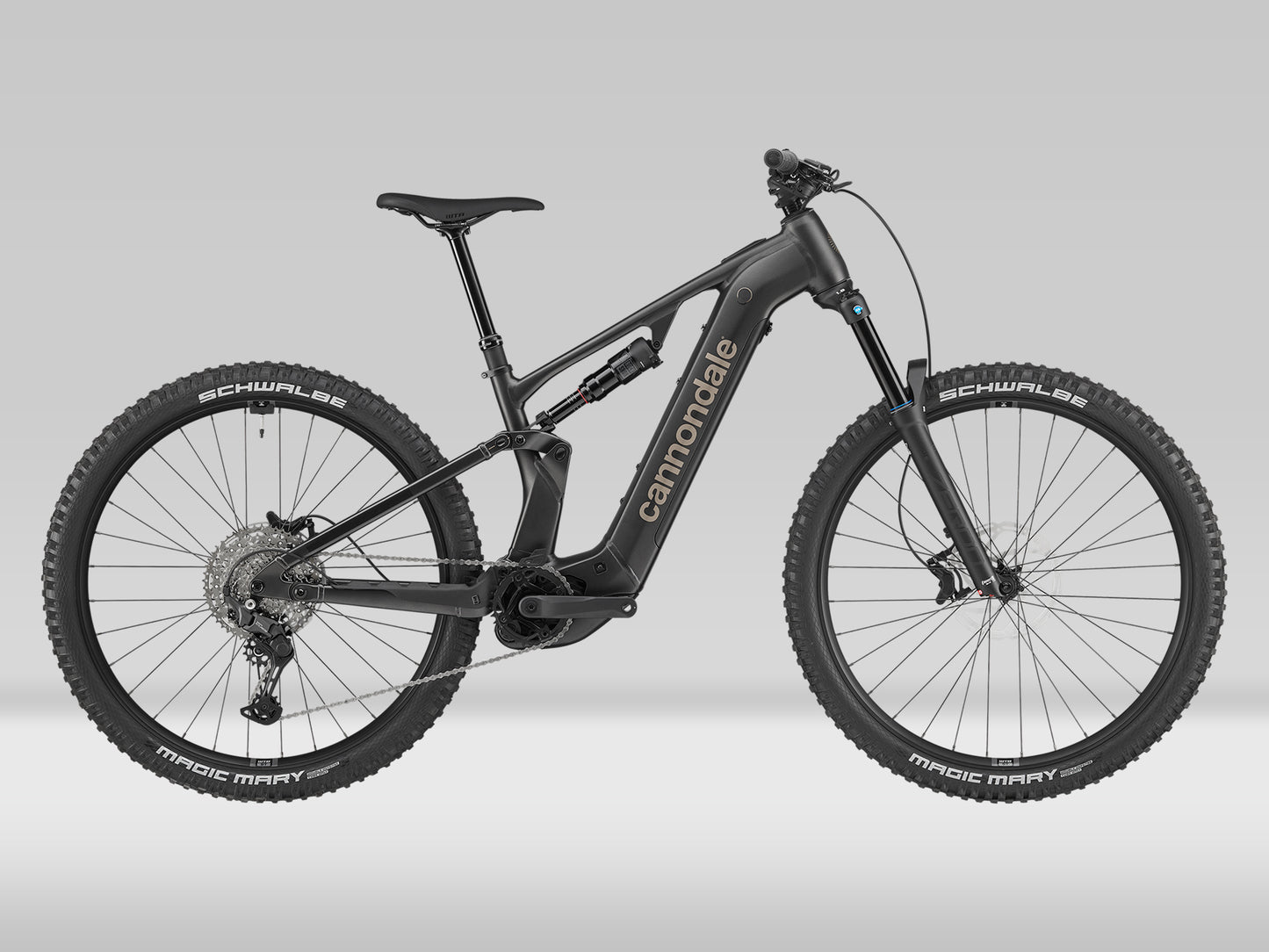 Cannondale Moterra 4