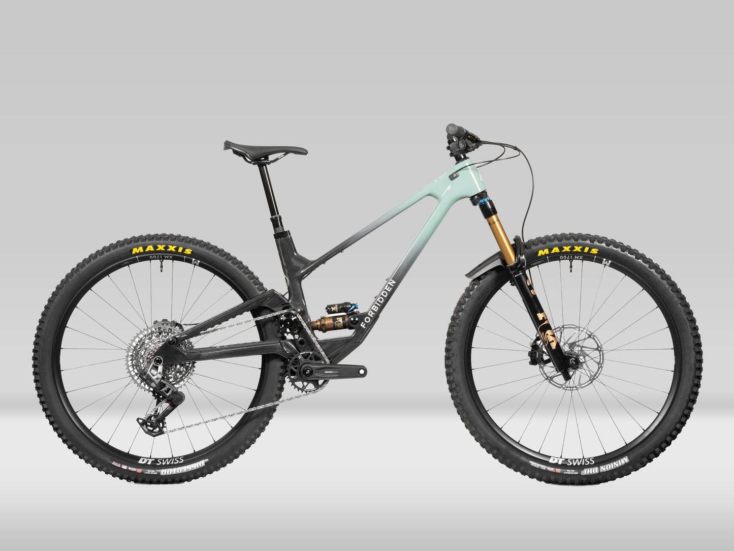 Forbidden Druid V2 29" Front and Rear