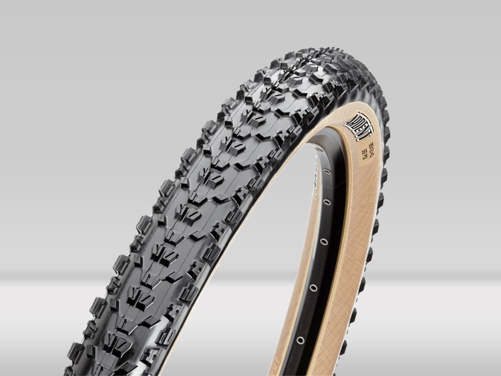 Maxxis Ardent 29x2,4 TR EXO 60tpi —  — 