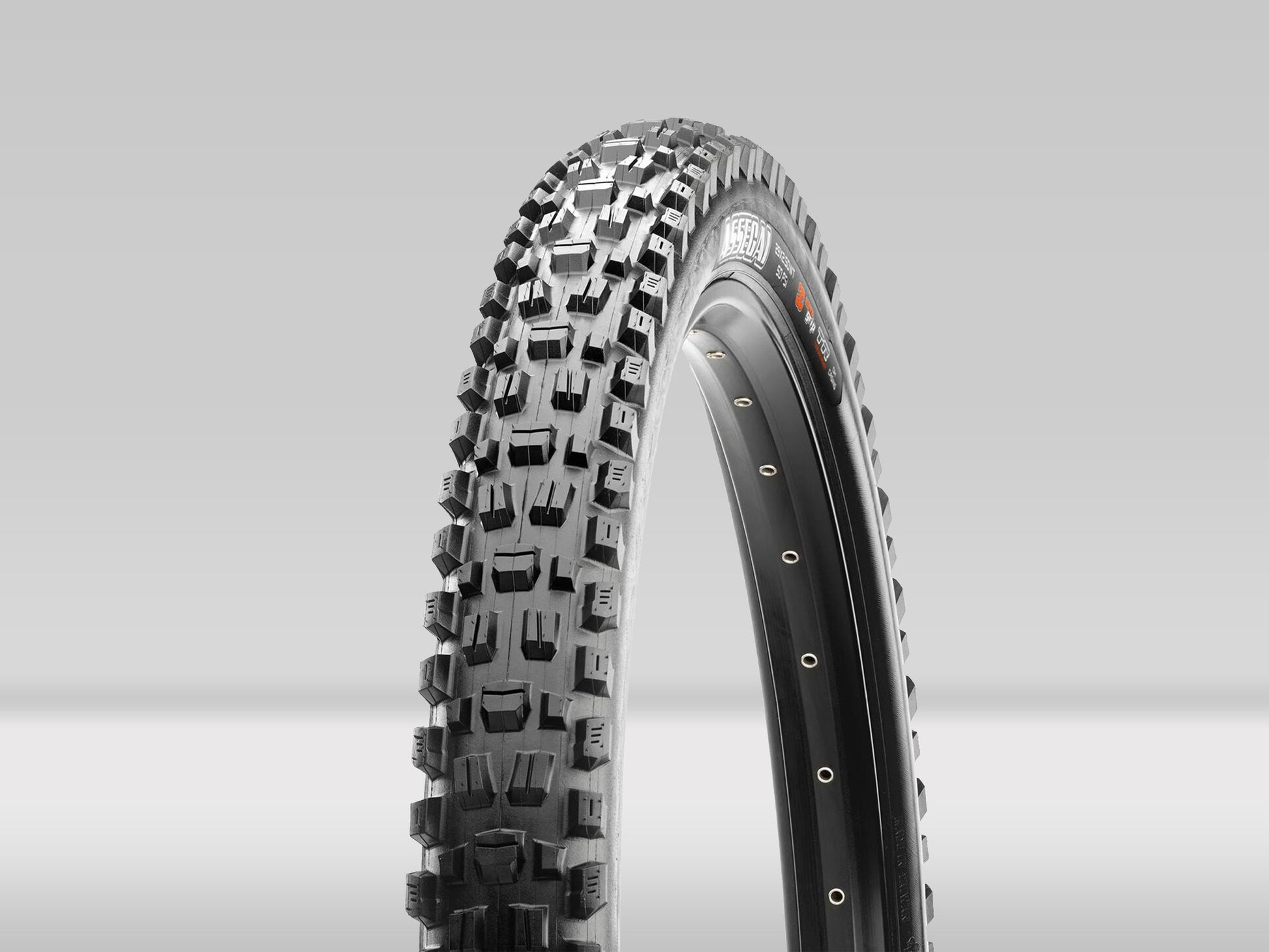Maxxis Assegai 29x2,5 WT Max Terra EXO TL —  — 