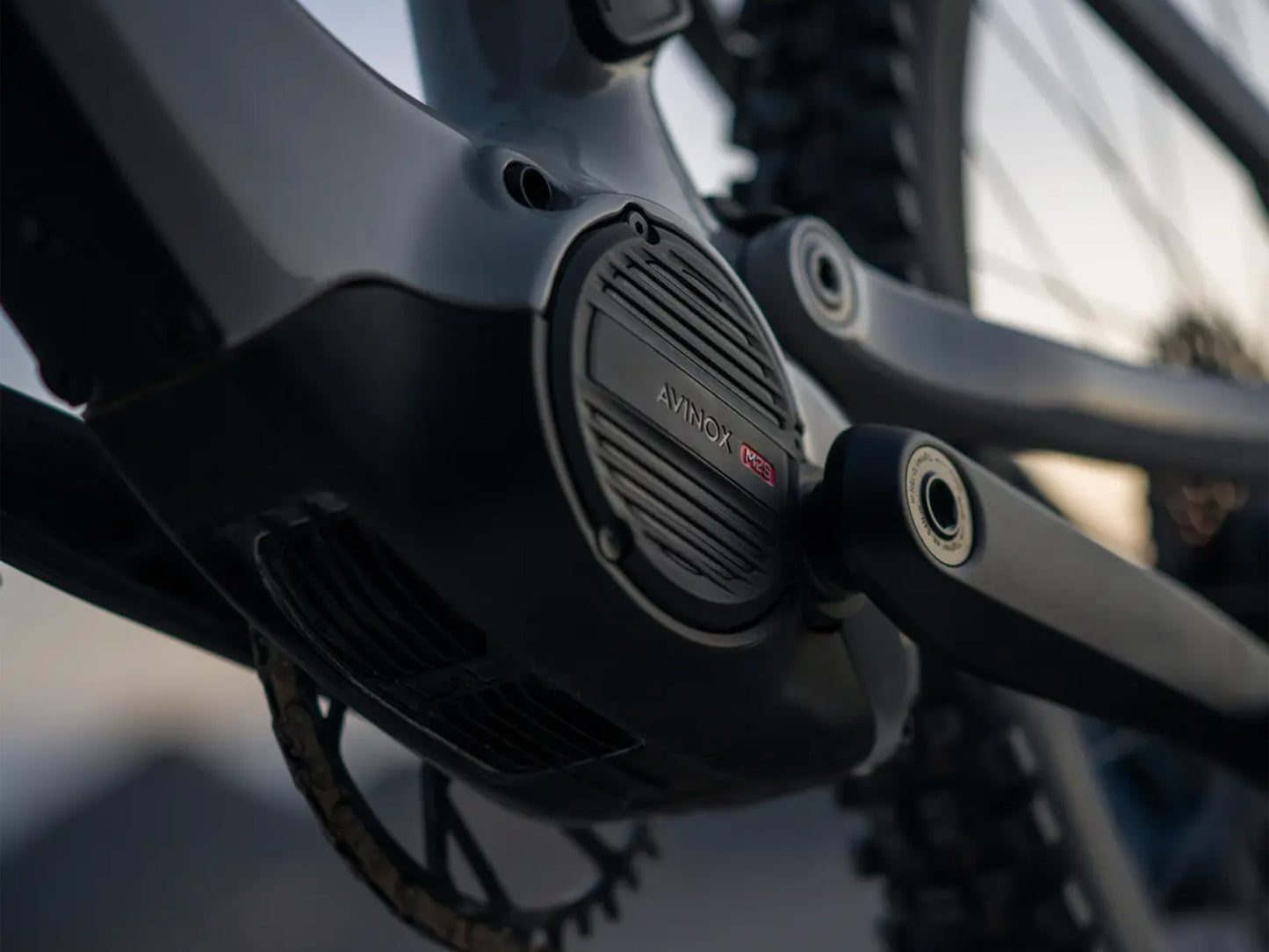 Amflow PX Carbon Pro
