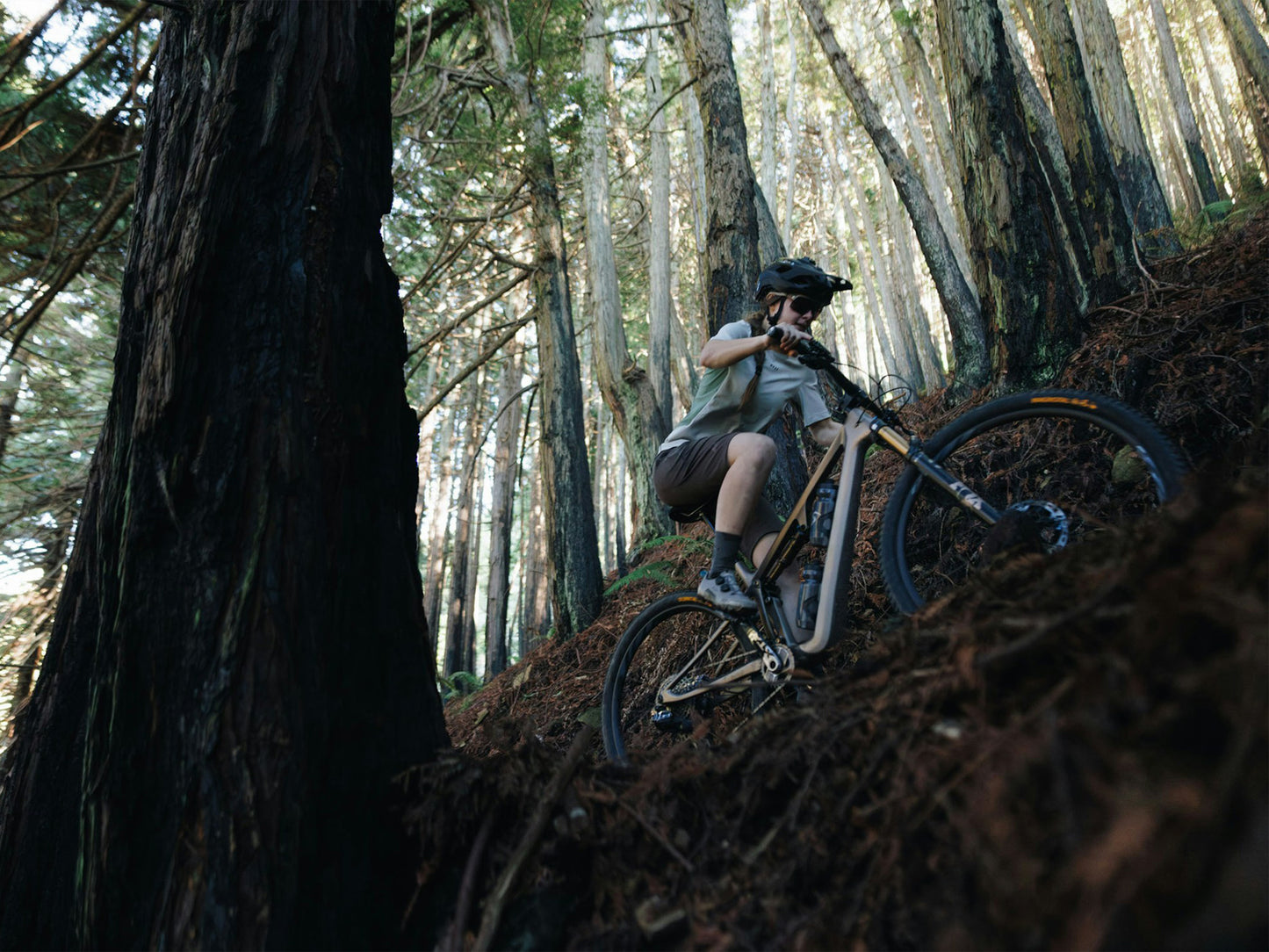 Ibis Ripley SL