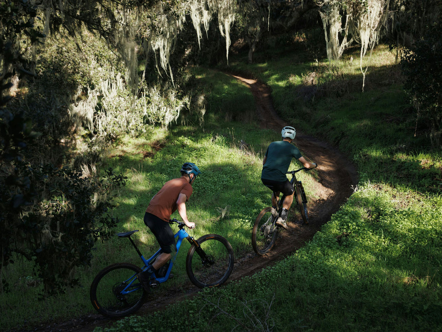 Ibis Ripley SL
