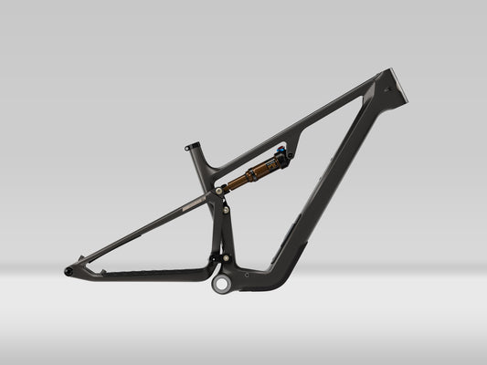 Ibis Ripley SL Frameset