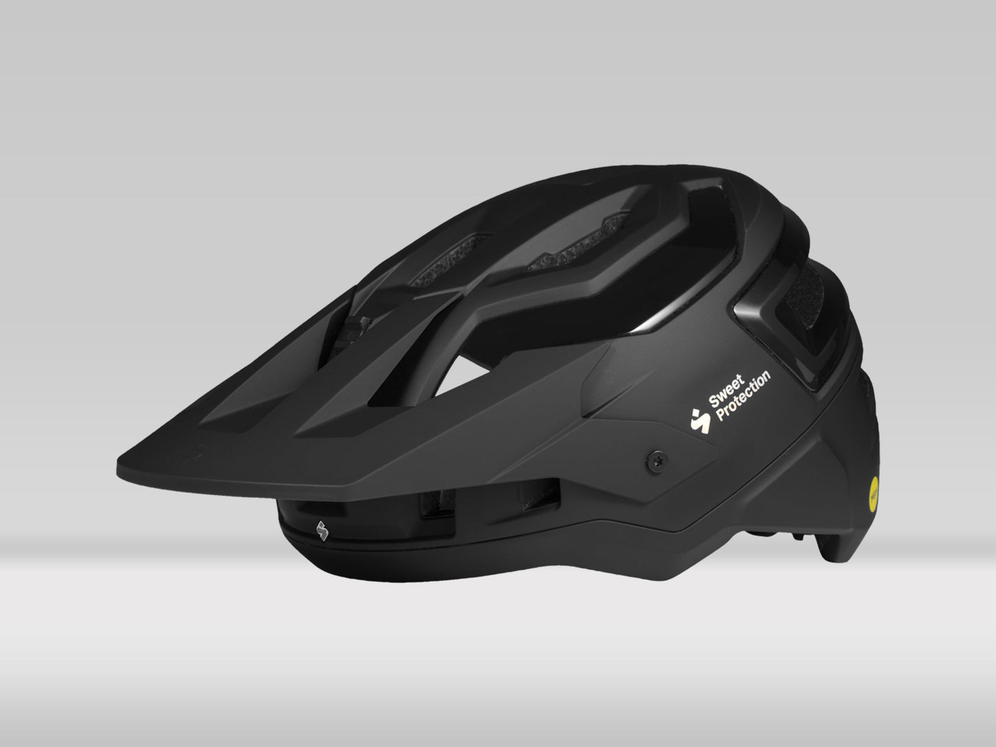 Sweet Protection Bushwhacker 2Vi® Mips — Matte Black — L/XL