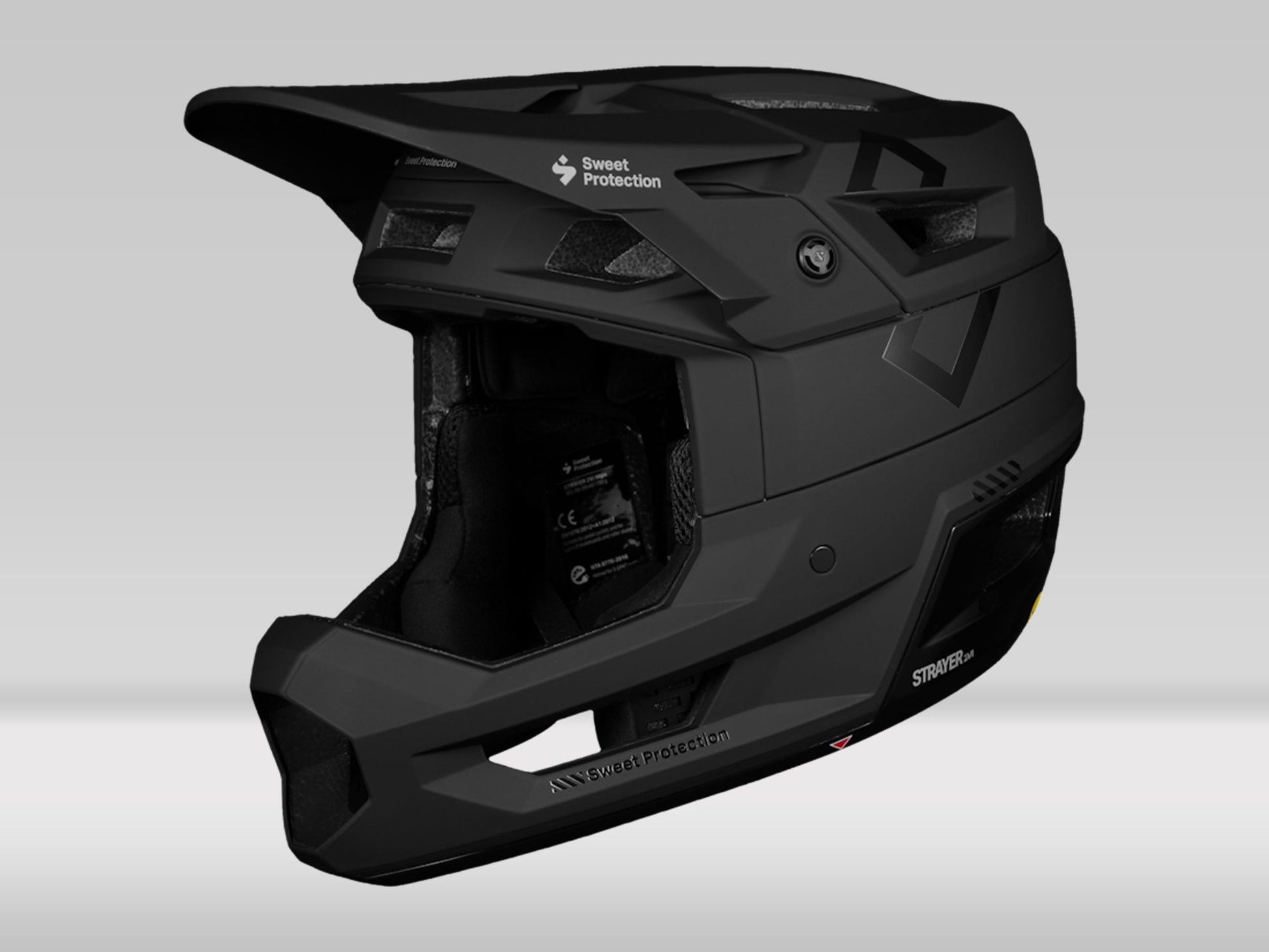 Sweet Protection Strayer 2Vi Mips — Matte Black — L/XL (59-62cm)